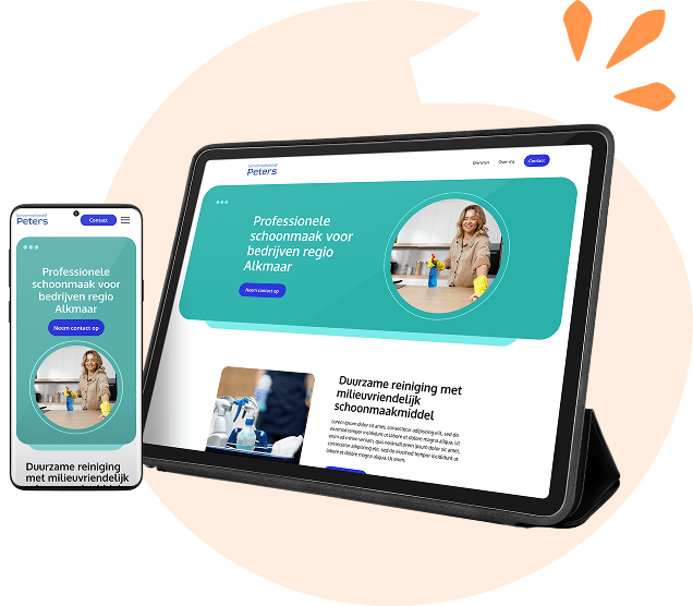 Schoonmaak websites voorbeelden
